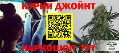 mdpv Гатчина