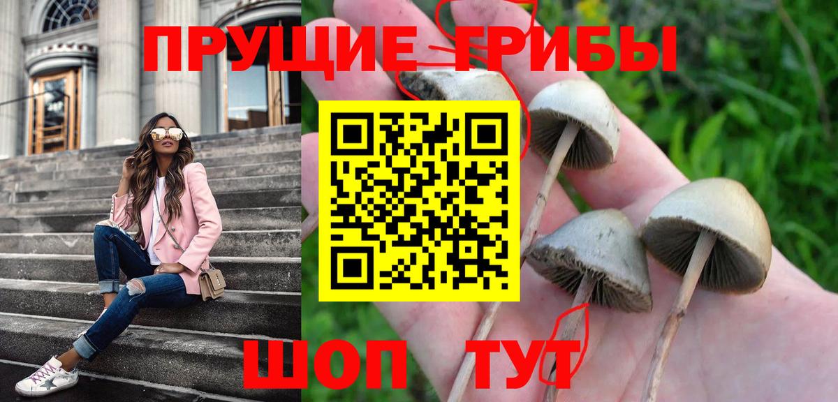 Мелеуз  Галлюциногенные грибы Psilocybe  Вход с VPN 